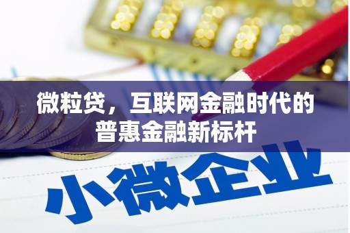 肇东微粒贷，互联网金融时代的普惠金融新标杆
