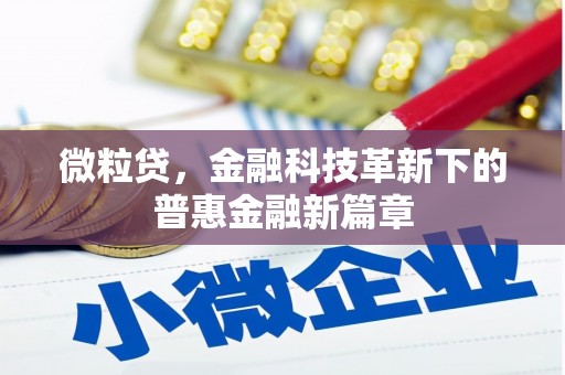 肇东微粒贷，金融科技革新下的普惠金融新篇章
