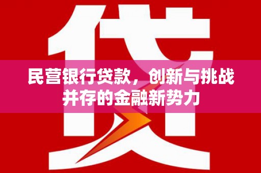 肇东民营银行贷款，创新与挑战并存的金融新势力