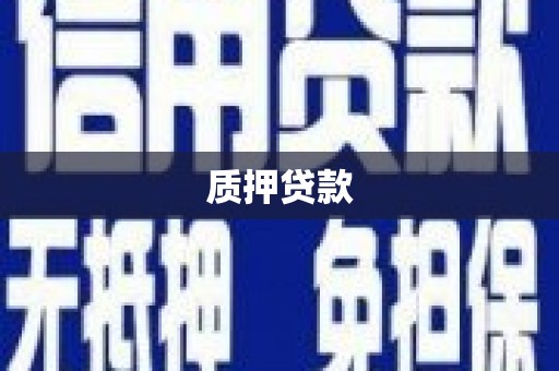 肇东质押贷款