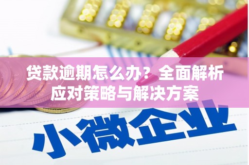 肇东贷款逾期怎么办？全面解析应对策略与解决方案