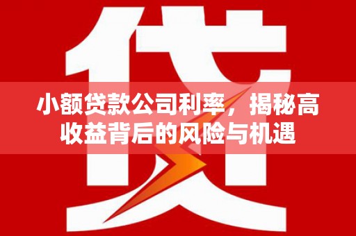 肇东小额贷款公司利率，揭秘高收益背后的风险与机遇