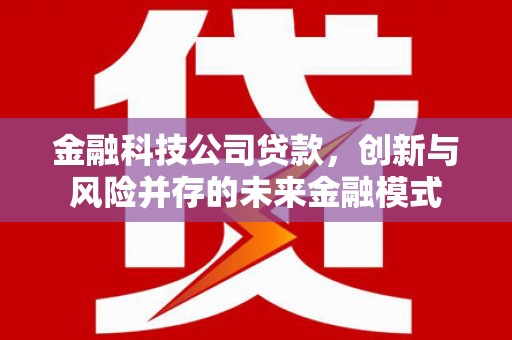 肇东金融科技公司贷款，创新与风险并存的未来金融模式