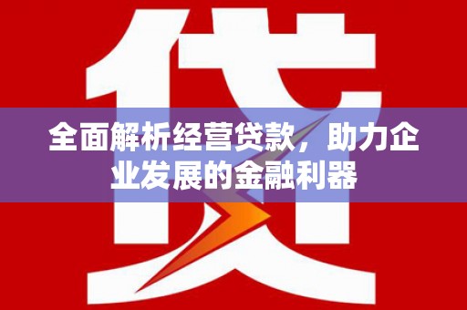 肇东全面解析经营贷款，助力企业发展的金融利器