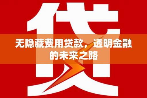 肇东无隐藏费用贷款，透明金融的未来之路