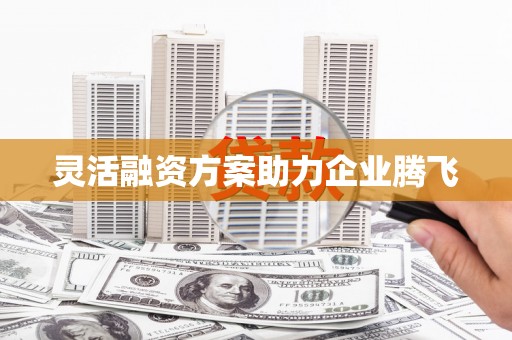 肇东灵活融资方案助力企业腾飞