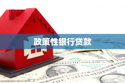 肇东政策性银行贷款