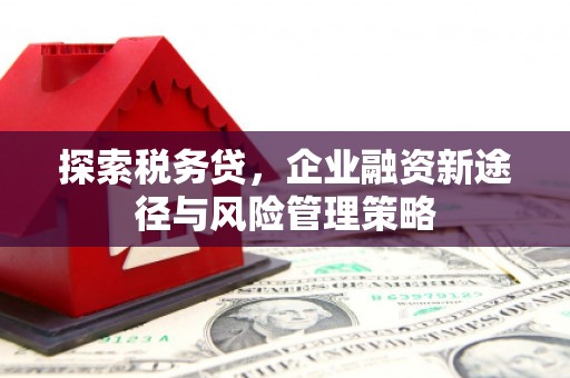 肇东探索税务贷，企业融资新途径与风险管理策略