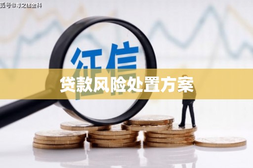 肇东贷款风险处置方案