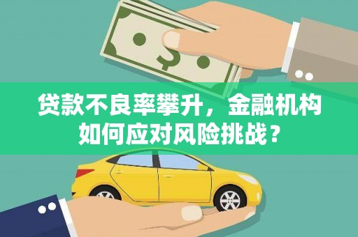 肇东贷款不良率攀升，金融机构如何应对风险挑战？
