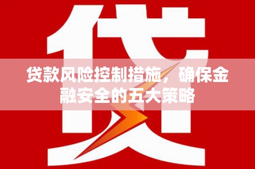 肇东贷款风险控制措施，确保金融安全的五大策略