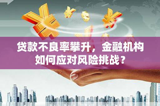 肇东贷款不良率攀升，金融机构如何应对风险挑战？