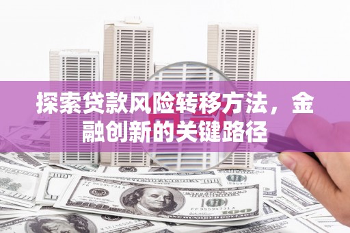 肇东探索贷款风险转移方法，金融创新的关键路径