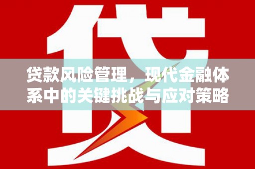 肇东贷款风险管理，现代金融体系中的关键挑战与应对策略