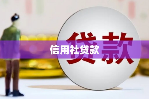 肇东信用社贷款
