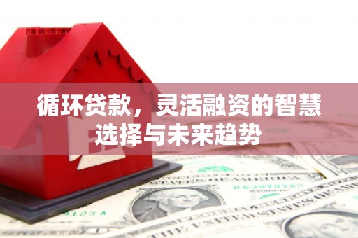 肇东循环贷款，灵活融资的智慧选择与未来趋势