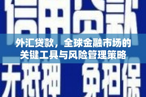 肇东外汇贷款，全球金融市场的关键工具与风险管理策略