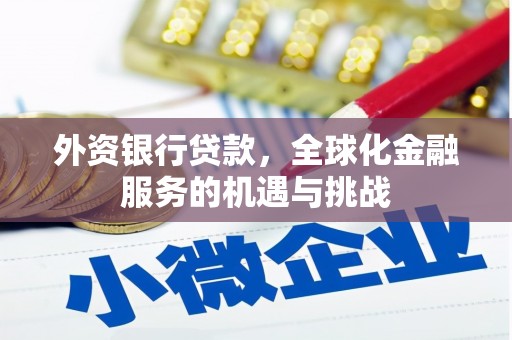 肇东外资银行贷款，全球化金融服务的机遇与挑战
