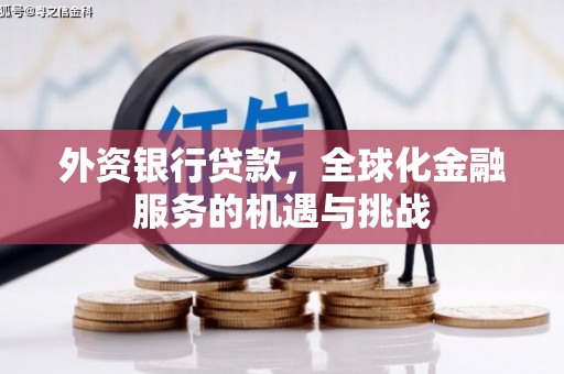 肇东外资银行贷款，全球化金融服务的机遇与挑战