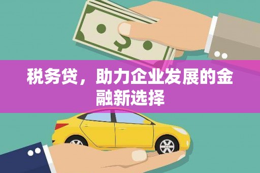 肇东税务贷，助力企业发展的金融新选择