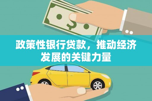 肇东政策性银行贷款，推动经济发展的关键力量
