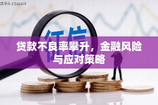 肇东贷款不良率攀升，金融风险与应对策略