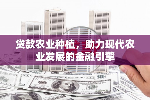 肇东贷款农业种植，助力现代农业发展的金融引擎