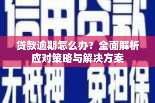 肇东贷款逾期怎么办？全面解析应对策略与解决方案