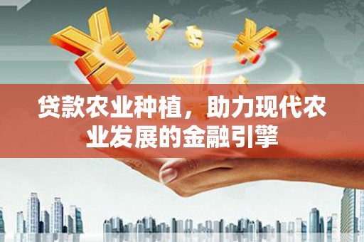 肇东贷款农业种植，助力现代农业发展的金融引擎