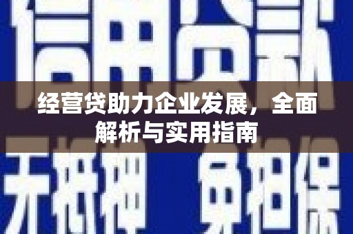肇东经营贷助力企业发展，全面解析与实用指南