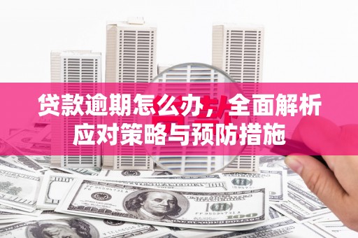 肇东贷款逾期怎么办，全面解析应对策略与预防措施