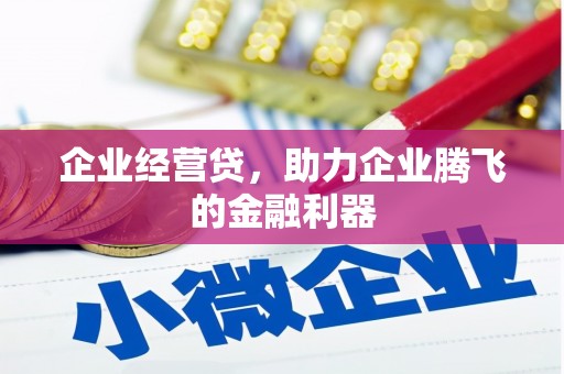 肇东企业经营贷，助力企业腾飞的金融利器