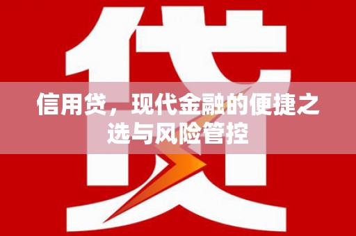 肇东信用贷，现代金融的便捷之选与风险管控
