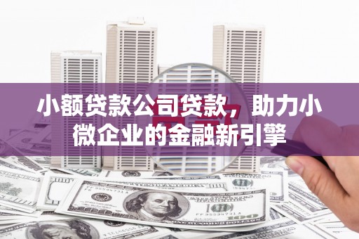 肇东小额贷款公司贷款，助力小微企业的金融新引擎