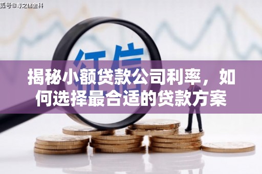 肇东揭秘小额贷款公司利率，如何选择最合适的贷款方案