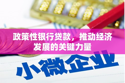 肇东政策性银行贷款，推动经济发展的关键力量