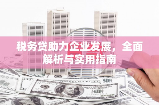 肇东税务贷助力企业发展，全面解析与实用指南