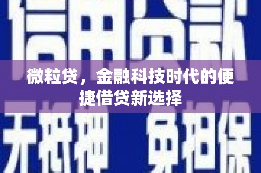 肇东微粒贷，金融科技时代的便捷借贷新选择