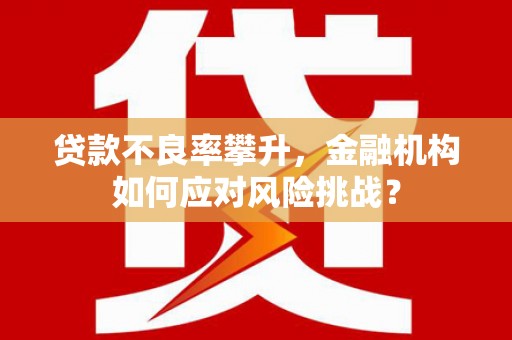 肇东贷款不良率攀升，金融机构如何应对风险挑战？