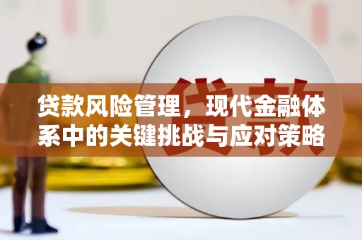 肇东贷款风险管理，现代金融体系中的关键挑战与应对策略