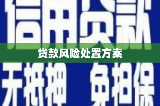 肇东贷款风险处置方案