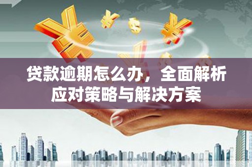 肇东贷款逾期怎么办，全面解析应对策略与解决方案