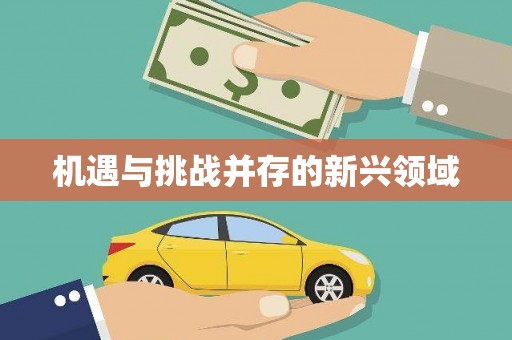 肇东机遇与挑战并存的新兴领域
