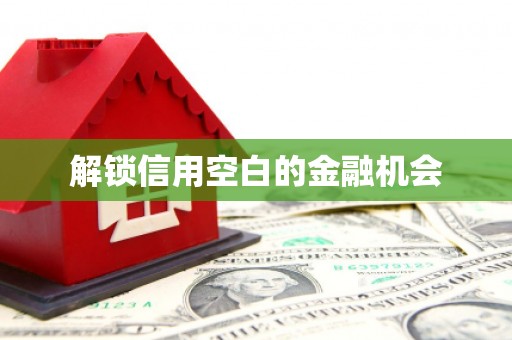 肇东解锁信用空白的金融机会