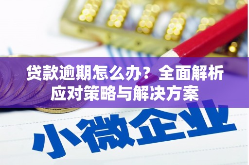 肇东贷款逾期怎么办？全面解析应对策略与解决方案
