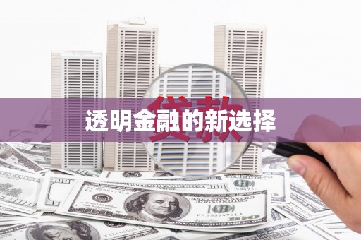 肇东透明金融的新选择