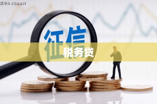 肇东税务贷