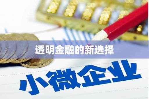 肇东透明金融的新选择