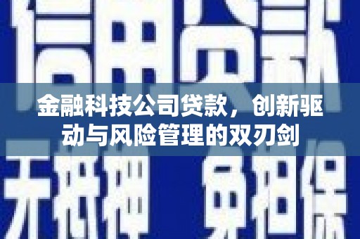肇东金融科技公司贷款，创新驱动与风险管理的双刃剑