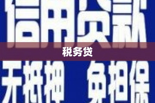肇东税务贷